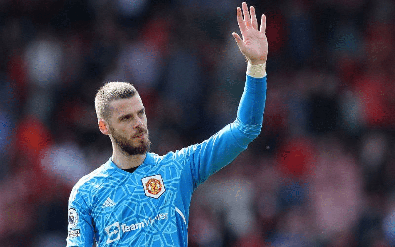 De Gea - Tiểu sử thủ môn thiên tài Tây Ban Nha David