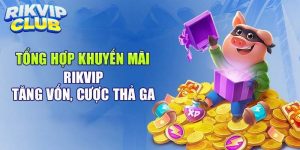 Tổng quan về các khuyến mãi Rik vip